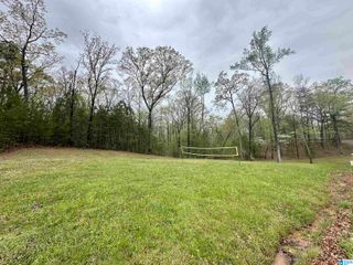 0 JONES DRIVE, Sylacauga, AL 35151