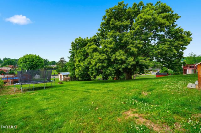 2911 Russum Avenue, Johnson City, TN 37604
