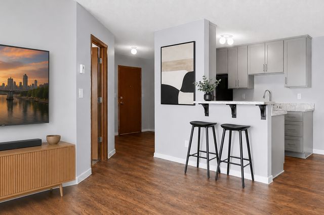 433 S 7th Street 2113, Minneapolis, MN 55415