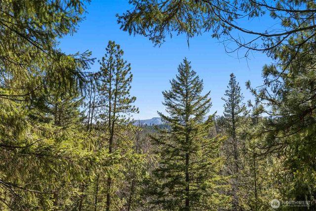 36 Wanawish Loop, Cle Elum, WA 98922