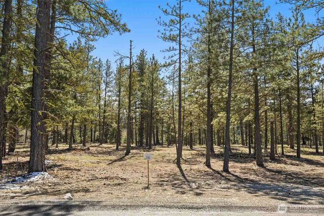 36 Wanawish Loop, Cle Elum, WA 98922
