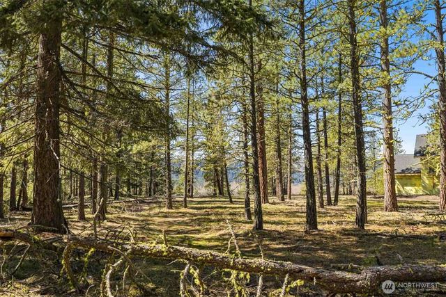 36 Wanawish Loop, Cle Elum, WA 98922