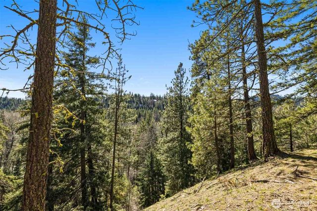 36 Wanawish Loop, Cle Elum, WA 98922
