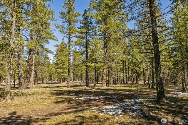 36 Wanawish Loop, Cle Elum, WA 98922