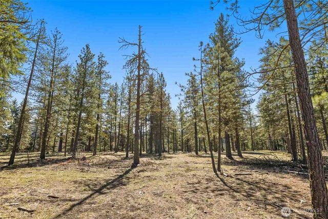 36 Wanawish Loop, Cle Elum, WA 98922