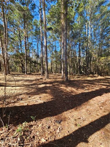 1557 FOREST ISLAND Drive NE, Townsend, GA 31331