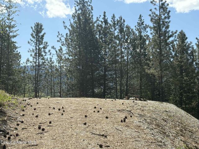 NKA South Fork Ridge Road, Smelterville, ID 83868