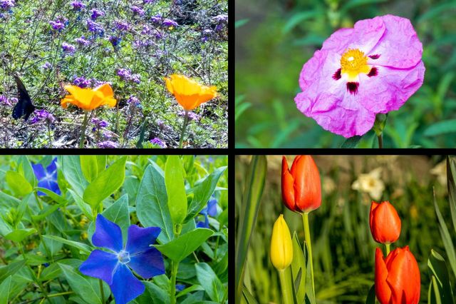 10526 Indian Shack Rd, Nevada City, CA 95959