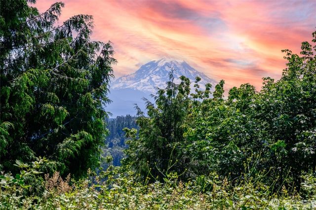 10602 177th Avenue Ct E, Bonney Lake, WA 98391