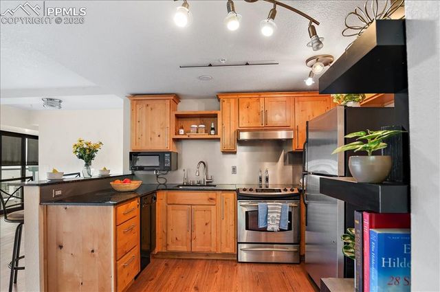 417 E Kiowa Street 1103, Colorado Springs, CO 80903