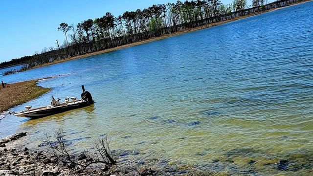 177 Sugarberry, Brookeland, TX 75931