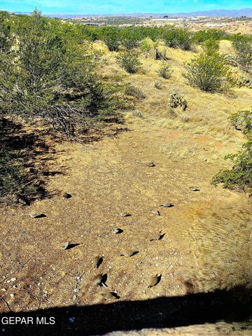 2519 SILVER HAWK Avenue, Las Cruces, NM 88011