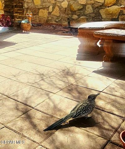 2519 SILVER HAWK Avenue, Las Cruces, NM 88011