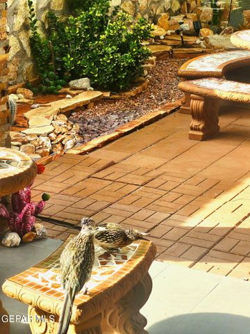 2519 SILVER HAWK Avenue, Las Cruces, NM 88011