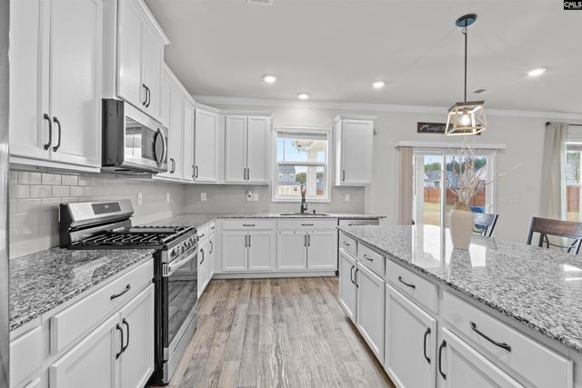 207 Belfast Way, Lexington, SC 29073