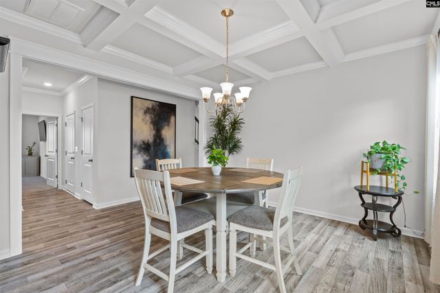 207 Belfast Way, Lexington, SC 29073