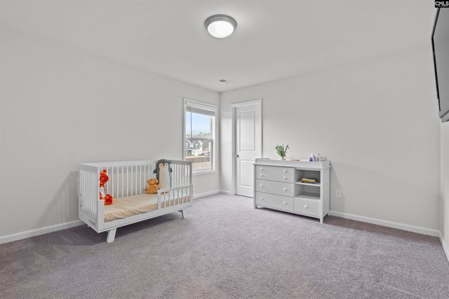 207 Belfast Way, Lexington, SC 29073