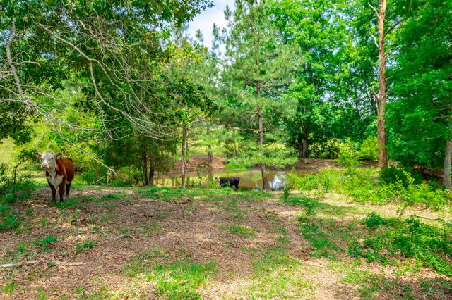 7015 B And K Ranch Road, Georgetown, TN 37336