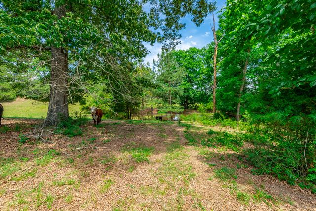 7015 B And K Ranch Road, Georgetown, TN 37336