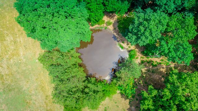 7015 B And K Ranch Road, Georgetown, TN 37336