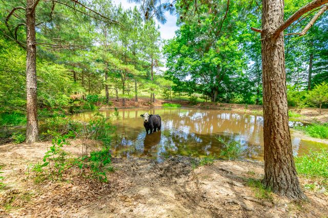 7015 B And K Ranch Road, Georgetown, TN 37336