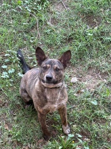 9236 Mango, Fontana, CA 92335