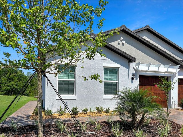 16831 FORGE SURF STREET, Land O Lakes, FL 34638