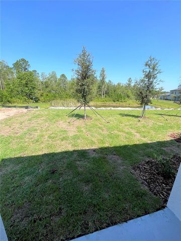 16831 FORGE SURF STREET, Land O Lakes, FL 34638