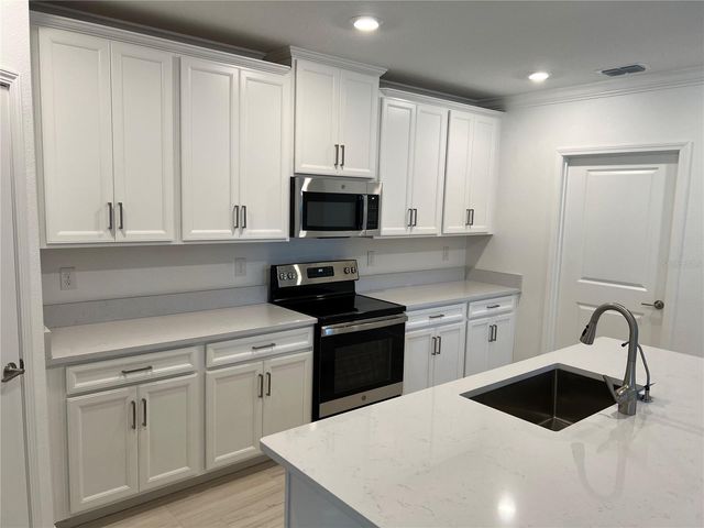 16831 FORGE SURF STREET, Land O Lakes, FL 34638