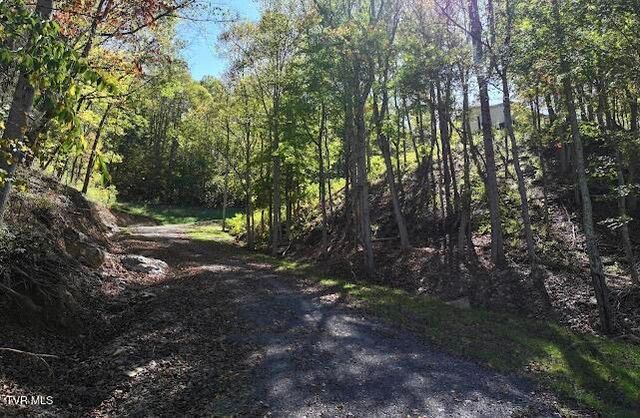 2855 Kents Ridge Road, Cedar Bluff, VA 24609