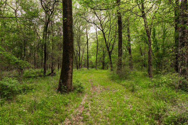 5531 NE County Road 3130, Kerens, TX 75144