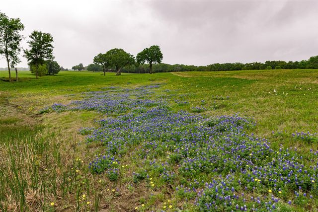 5531 NE County Road 3130, Kerens, TX 75144