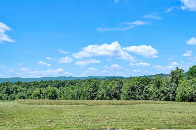 1169 ANTIOCH RD, Boones Mill, VA 24065