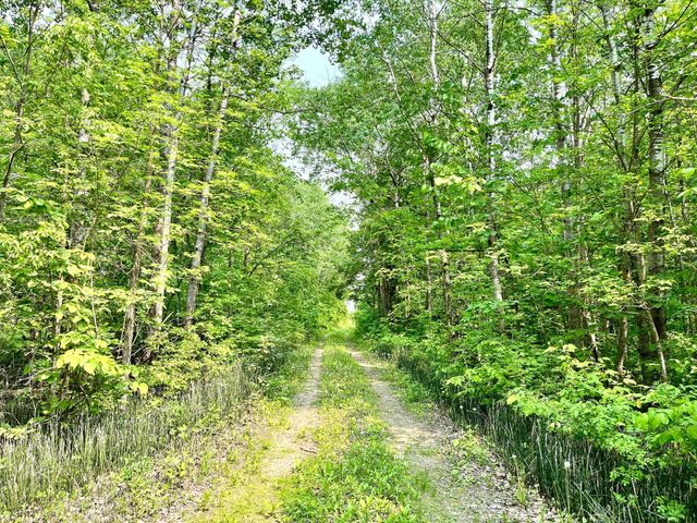 37551 County Road 126, Height Of Land N Twp, MN 56578