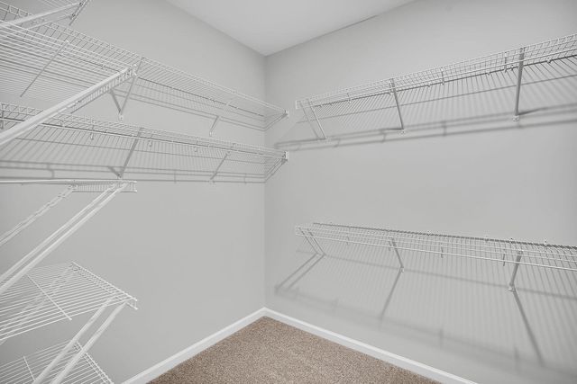 10 Dahlberg Street, Summerville, SC 29483