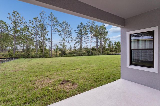 35471 BIG HAWK DRIVE, Zephyrhills, FL 33541