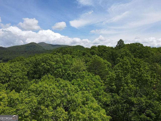 4.78 AC Hawkview, Hiawassee, GA 30546