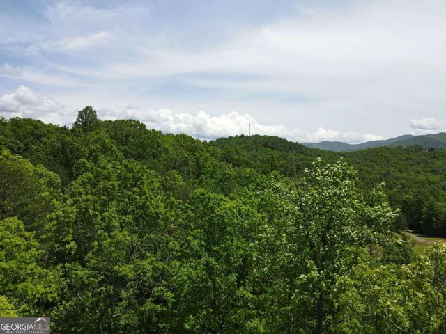 4.78 AC Hawkview, Hiawassee, GA 30546