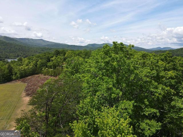 4.78 AC Hawkview, Hiawassee, GA 30546