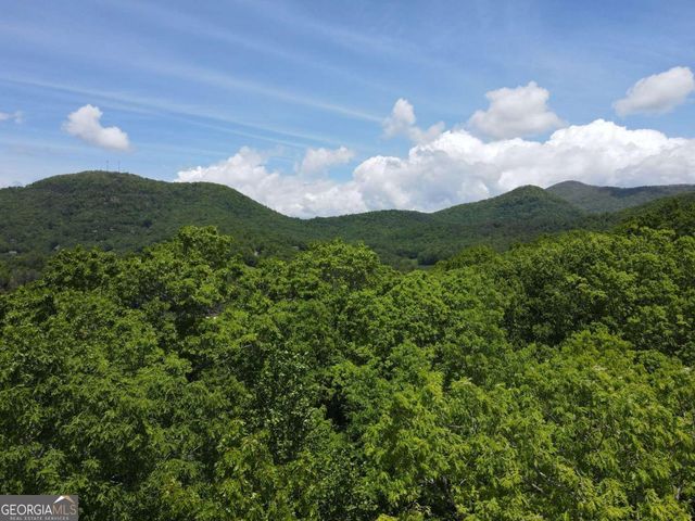 4.78 AC Hawkview, Hiawassee, GA 30546