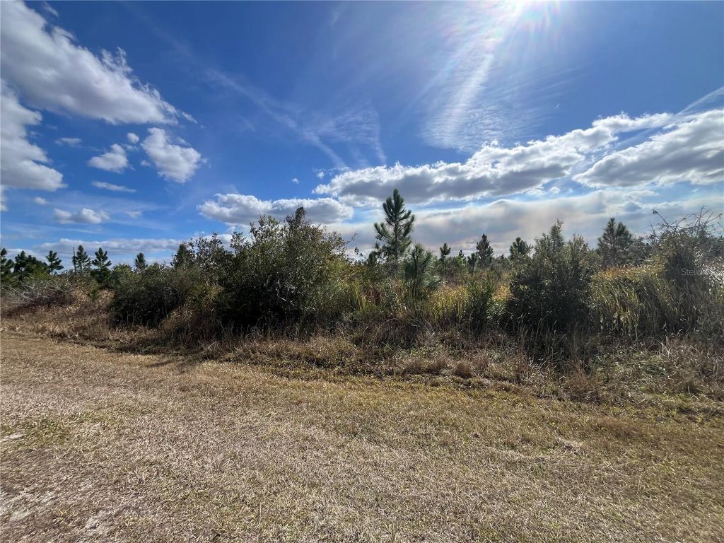 Image 10 of property listing at ALTHEA DRIVE, Indian Lake Estates, FL 33855