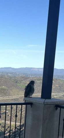 9607 Misty Meadow Lane, Escondido, CA 92026