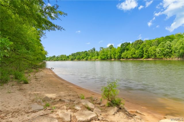 11658 River Point, Tuscaloosa, AL 35405