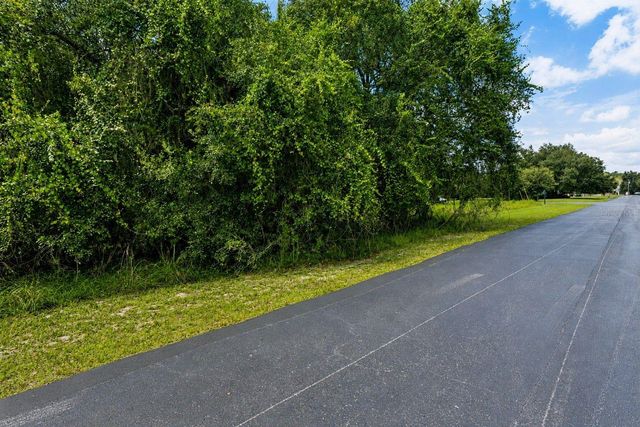 8541 WOODLEAF BOULEVARD, Wesley Chapel, FL 33544