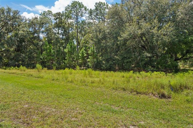 8541 WOODLEAF BOULEVARD, Wesley Chapel, FL 33544