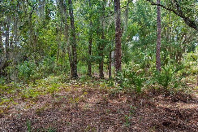 8541 WOODLEAF BOULEVARD, Wesley Chapel, FL 33544