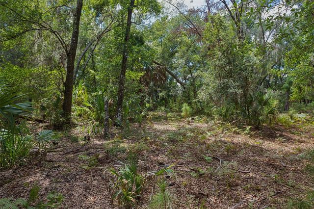 8541 WOODLEAF BOULEVARD, Wesley Chapel, FL 33544