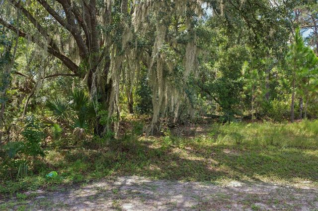 8541 WOODLEAF BOULEVARD, Wesley Chapel, FL 33544