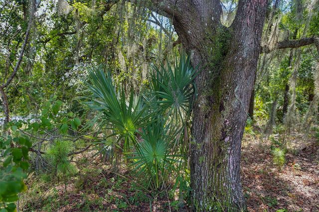8541 WOODLEAF BOULEVARD, Wesley Chapel, FL 33544