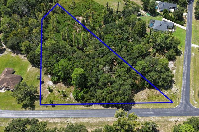 8541 WOODLEAF BOULEVARD, Wesley Chapel, FL 33544